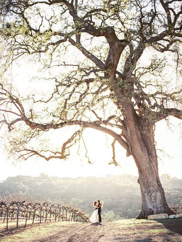 Foto: Reprodução / <a href="http://heyweddinglady.com/rustic-sophistication-wedding-shoot-wine-country/" target="_blank">Hey wedding lady</a>