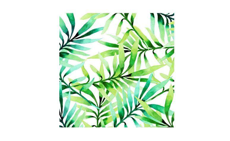 Papel de parede adesivo folhagem (rolo) por R$ 159,00 na <a href="http://www.stickdecor.com.br/pd-1a502e-papel-de-parede-adesivo-folhagem.html" target="_blank">Stick decor</a>