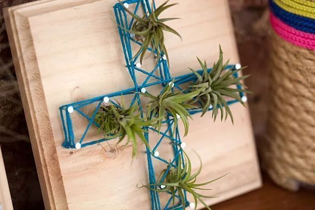 Foto: Reprodução / <a href="http://www.brit.co/air-plant-string-art/" target="_blank"> Brit + Co</a>