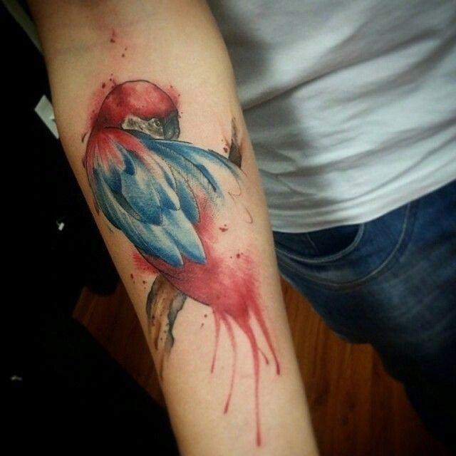 Foto: Reprodução / <a href="https://instagram.com/p/4H5jABMOkV/" target="_blank">Zanotto</a>