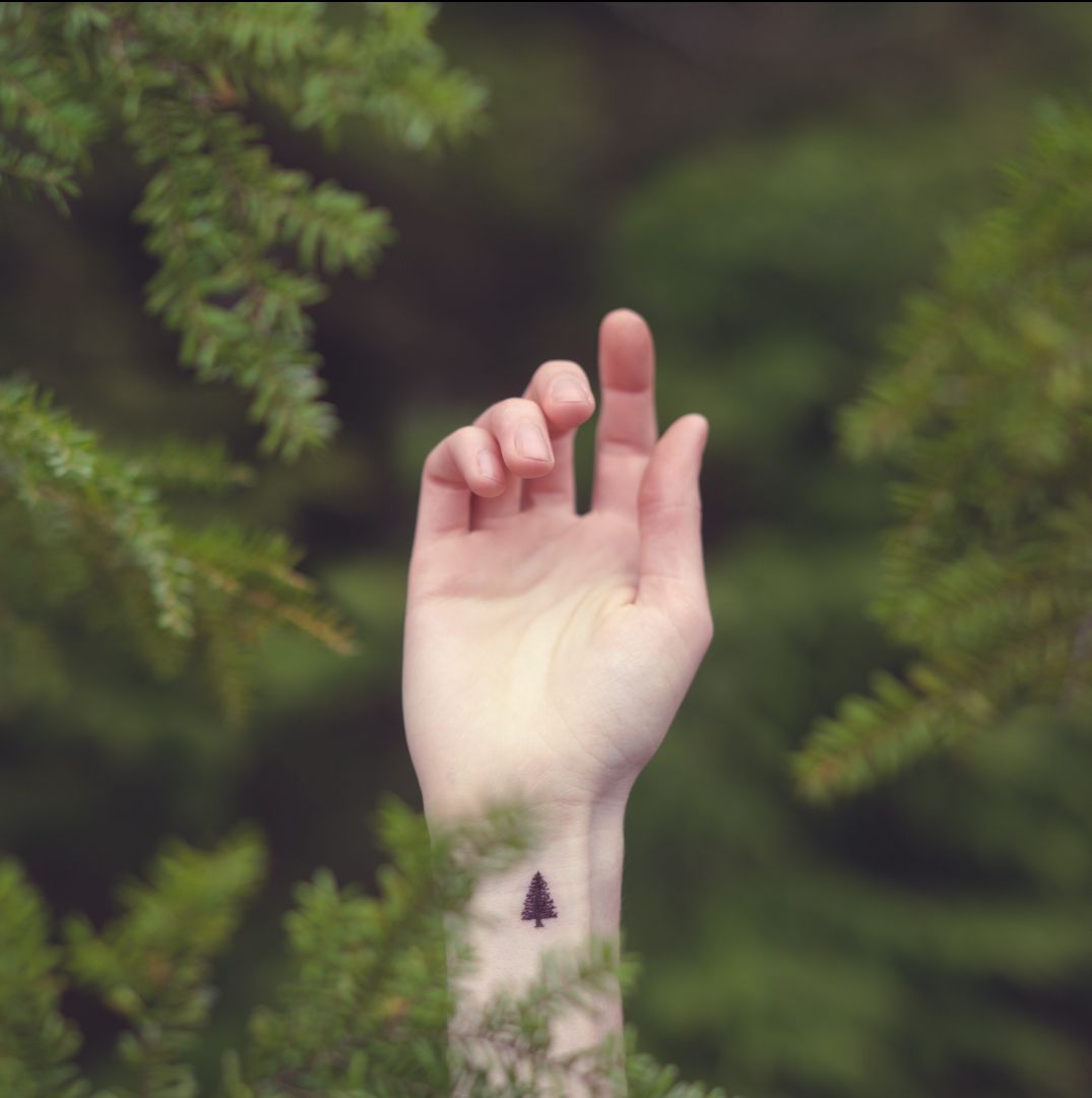 Foto: Reprodução / <a href="http://tottphoto.com/tiny-tattoos/" target="_blank">Tott photo</a>