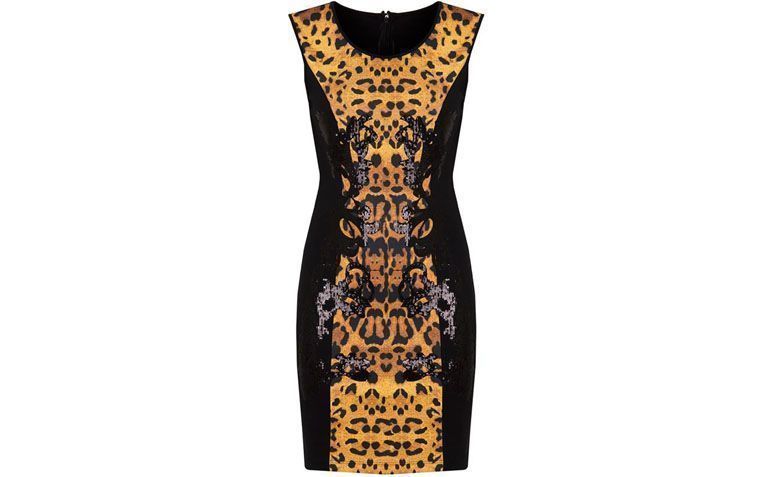 Animal Print Dress oleh R $ 223,30 di Capitollium