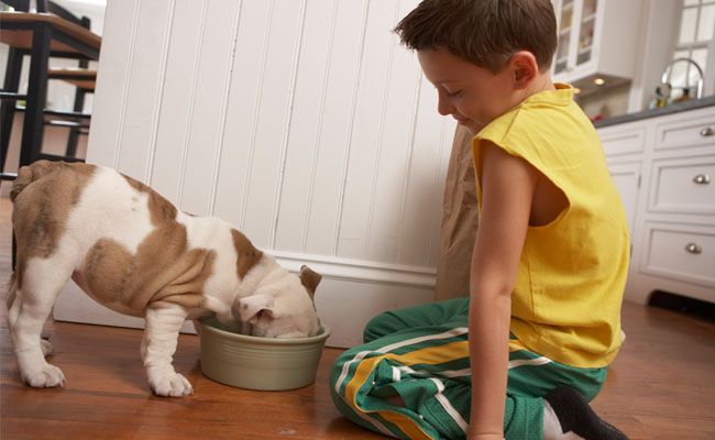 criancas-devem-ter-animais-de-estimacao