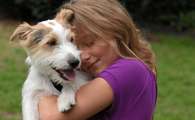 Ajude seu filho a entender a morte de um animal de estimação