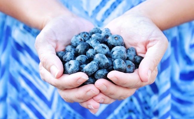 Blueberry: conheça os benefícios dessa fruta do bem