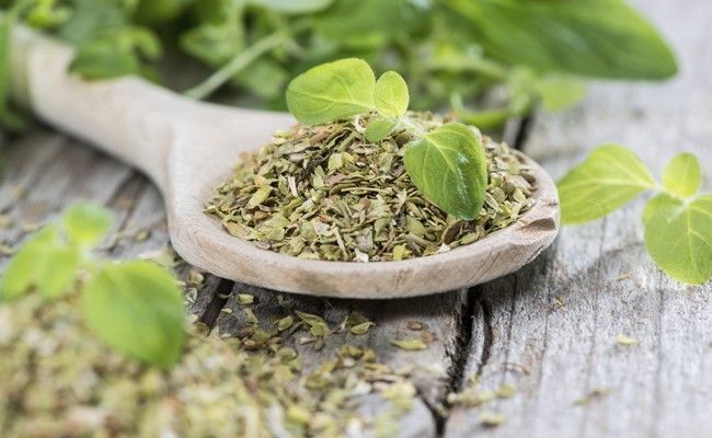 oregano-3