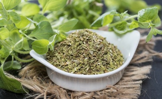 oregano