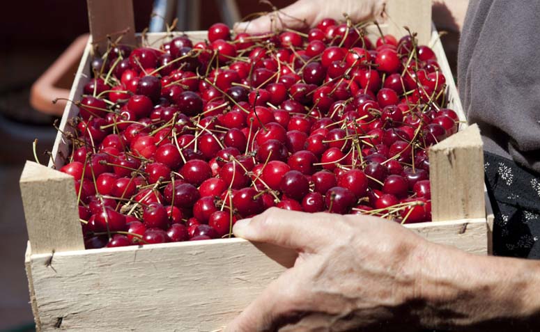 Foto: Thinkstock