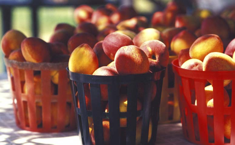 Foto: Thinkstock