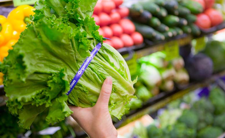 Foto: Thinkstock