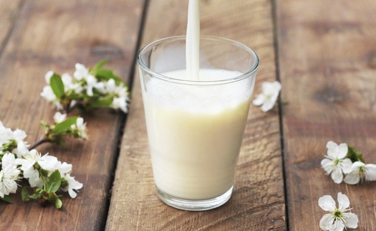 Alergia à proteína do leite de vaca: dicas e receitas práticas