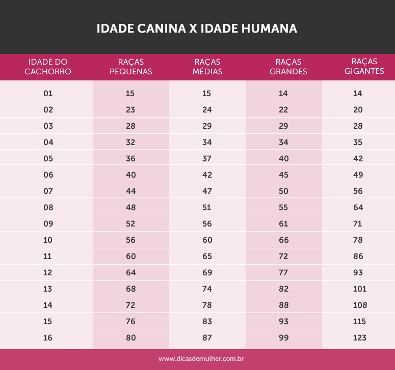 Imagem: Dicas de Mulher