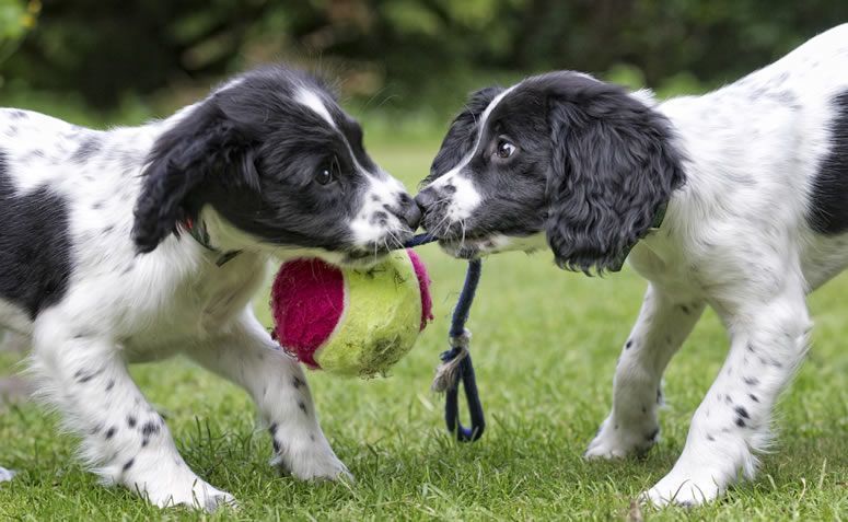 Foto: Getty Images