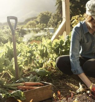 Horta em casa: o que plantar, como cultivar e cuidar das hortaliças