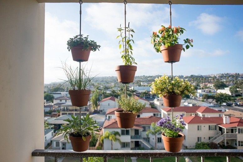 Foto: Reprodução / The Horticult