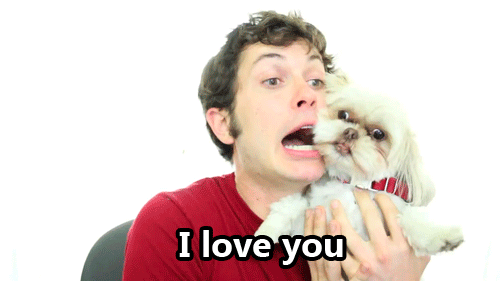 Foto: Reprodução / Giphy