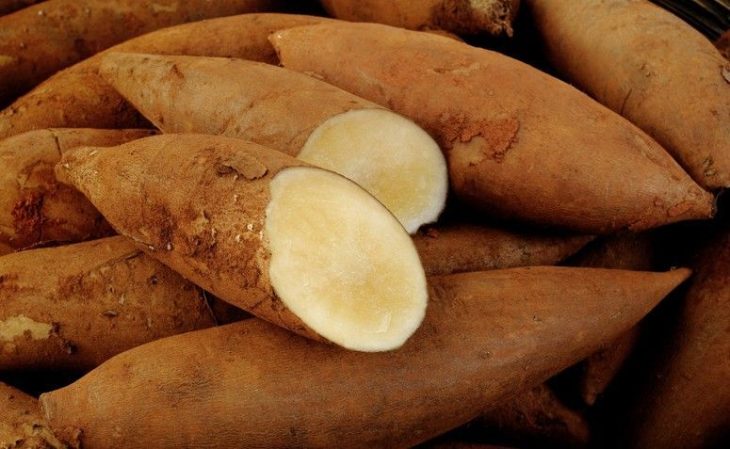 Batata yacon: conheça todos os benefícios e aprenda receitas deliciosas