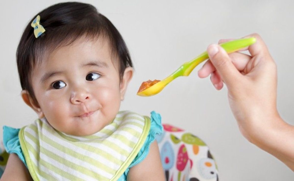 Alimentos para bebes de 1 año