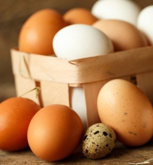 Ovo marrom ou ovo branco: qual é a diferença e qual deles é o melhor?