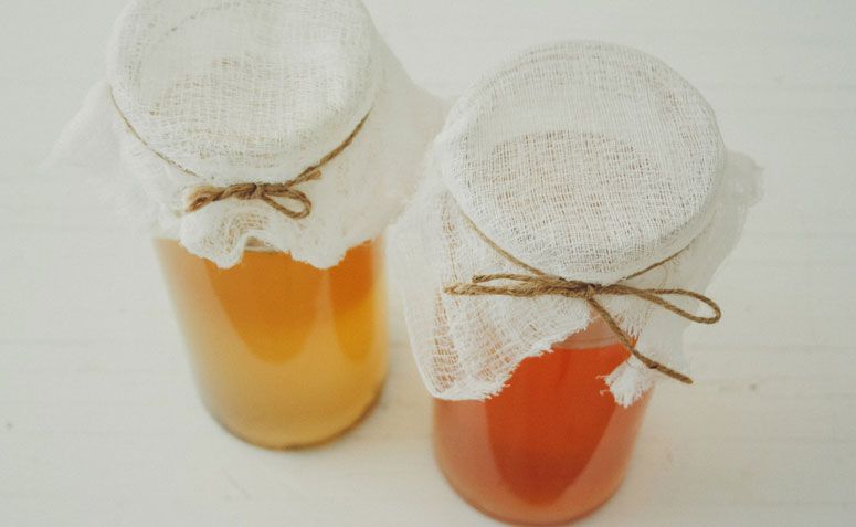 kombucha