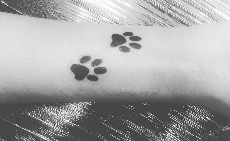 50 tatuagens de pata de cachorro para inspirar a sua