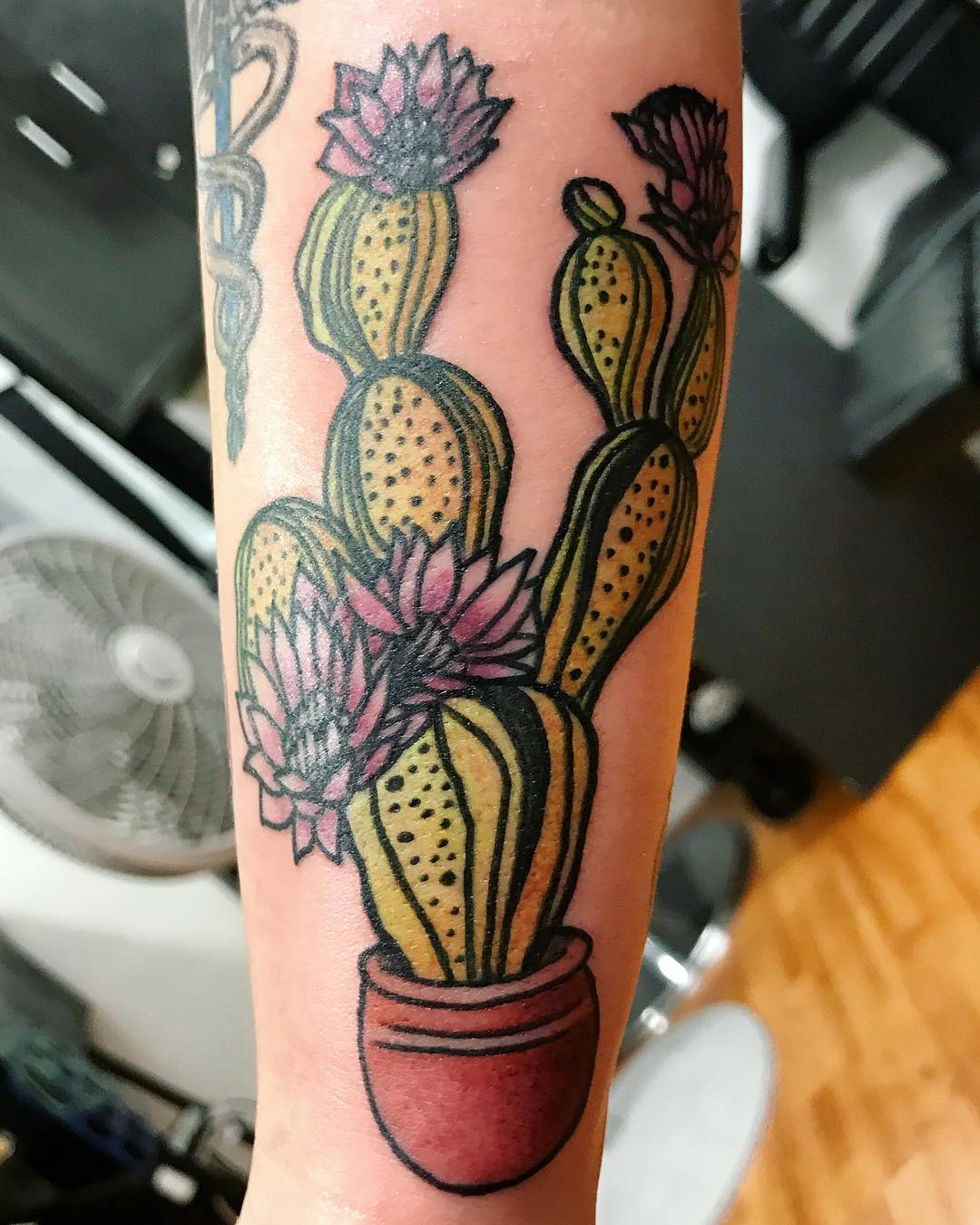 40 tatuagens de cactos e suculentas para se encantar