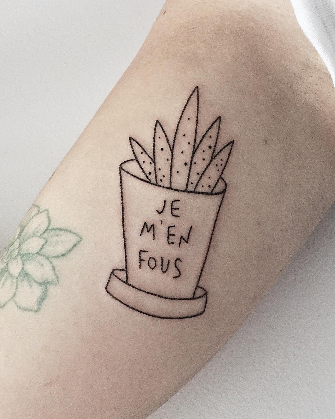 40 tatuagens de cactos e suculentas para se encantar