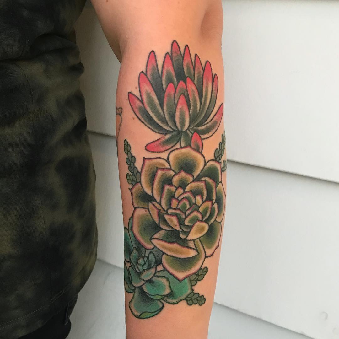 Esboço de cacto para tatuagem de plantas suculentas florais