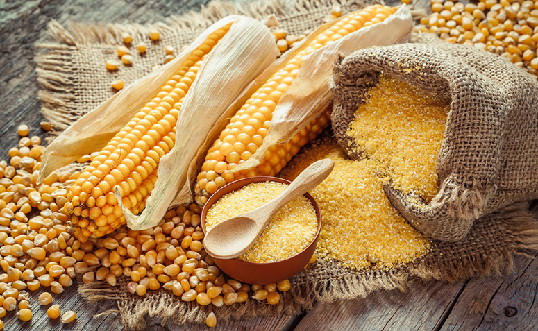 Farinha de milho: 6 benefícios e dicas de como usar