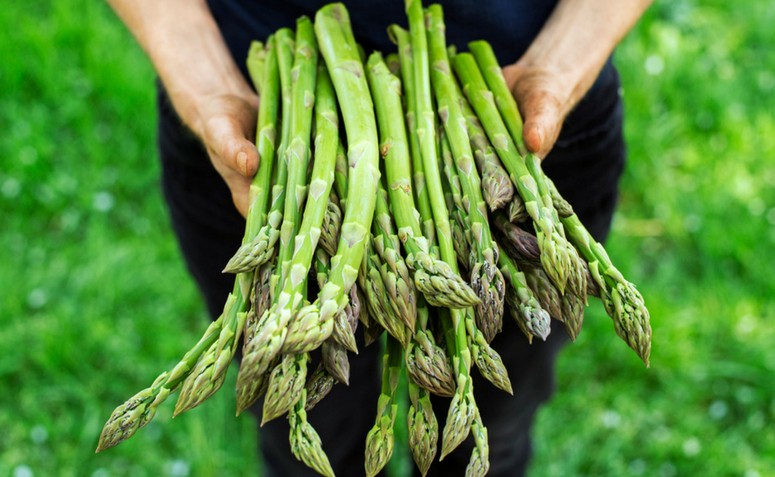 Aspargos: todos os benefícios incríveis desse vegetal e como consumi-lo