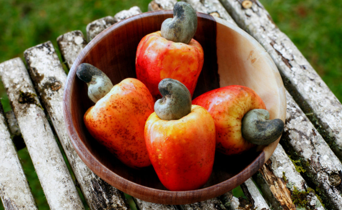 Caju: conheça 9 benefícios surpreendentes desse alimento para a saúde