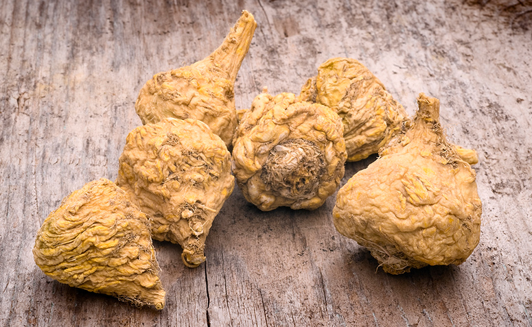 Maca peruana: excelente estimulante sexual e auxilia no emagrecimento