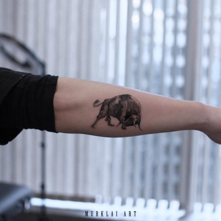 25 melhor ideia de Tatuagens de touro