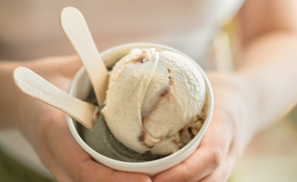 17 receitas de sorvete de leite Ninho que só não faz quem não quer 17 receitas de sorvete de leite Ninho que só não faz quem não quer