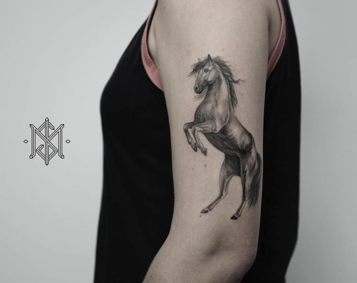 Tatuagem de cavalo: 80 modelos que representam força e resistência