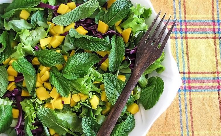 30 receitas de salada tropical para uma refeição leve e colorida – Mari  Carvalho