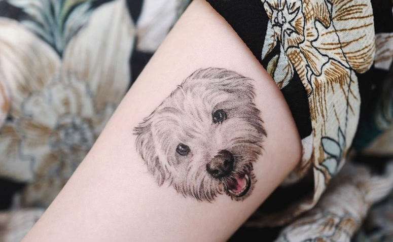 Tatuagem de cachorro: 80 ideias para eternizar o amor pelo seu bichinho