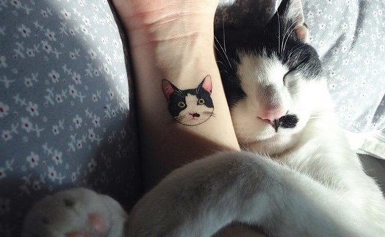 Tatuagem de gato: 85 ideias para se apaixonar e se inspirar