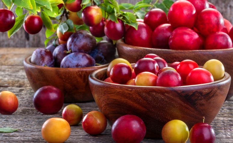 10 benefícios da ameixa e os principais tipos dessa fruta maravilhosa