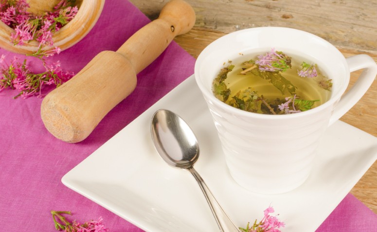 Chá de valeriana: conheça a bebida feita com uma planta calmante