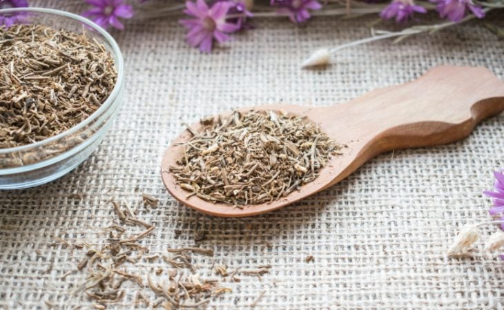 Chá de valeriana: veja benefícios, como preparar e consumir a bebida