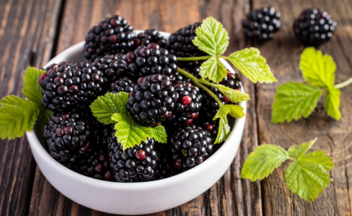 12 benefícios da amora + dicas completas da nutricionista