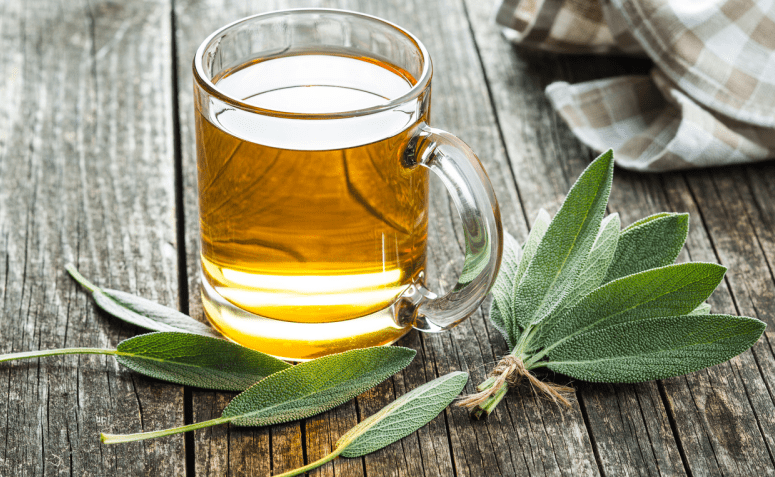 9 benefícios do chá de sálvia e como incluí-lo no seu dia a dia