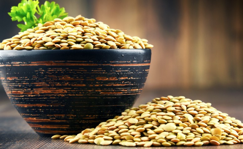 12 benefícios da lentilha, uma aliada no emagrecimento e na musculação