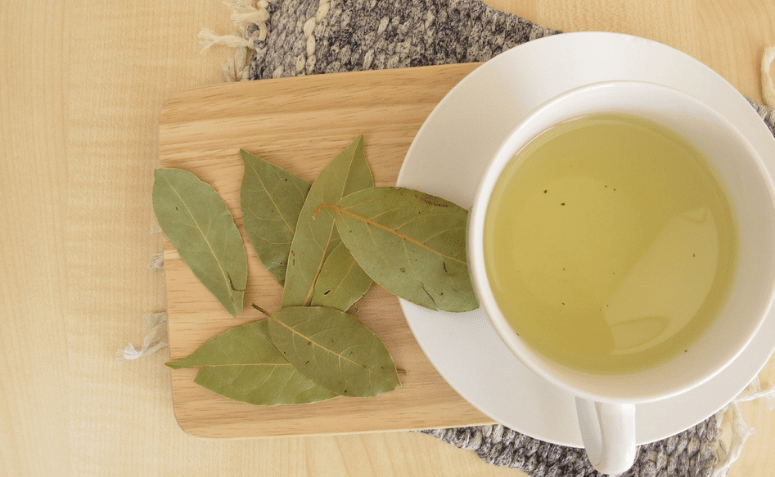 Conheça os benefícios, contraindicações e receitas do chá de louro