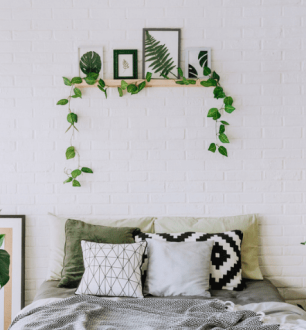 12 plantas para quarto que você precisa conhecer e aderir