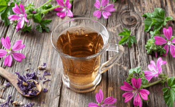Chá de malva: 10 benefícios + dicas de como fazer o chá em casa