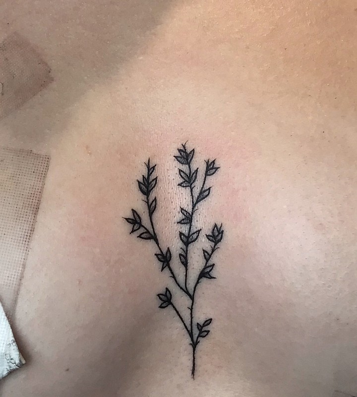 Rosa delicada na mão 🥰 #tattoofeminina #finelinetattoo #fineline #tat