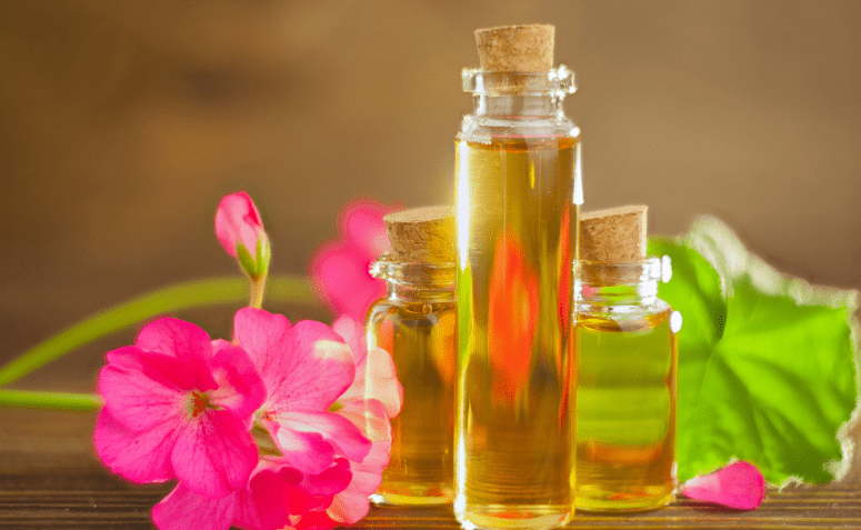 10 benefícios do óleo essencial de gerânio, método de uso e curiosidades