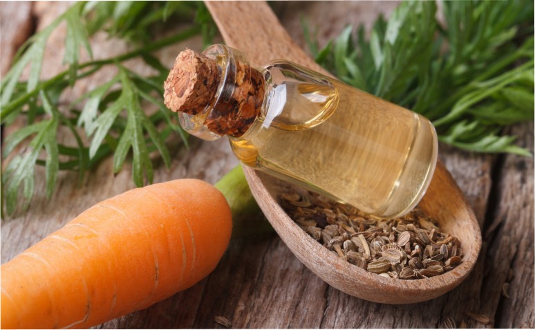 5 benefícios do óleo de cenoura para usar no corpo e no cabelo